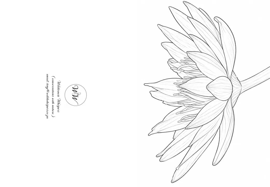 A5 (folded A4) cards as colouring in